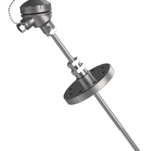 r – 731 rtd with straight thermowell & flange